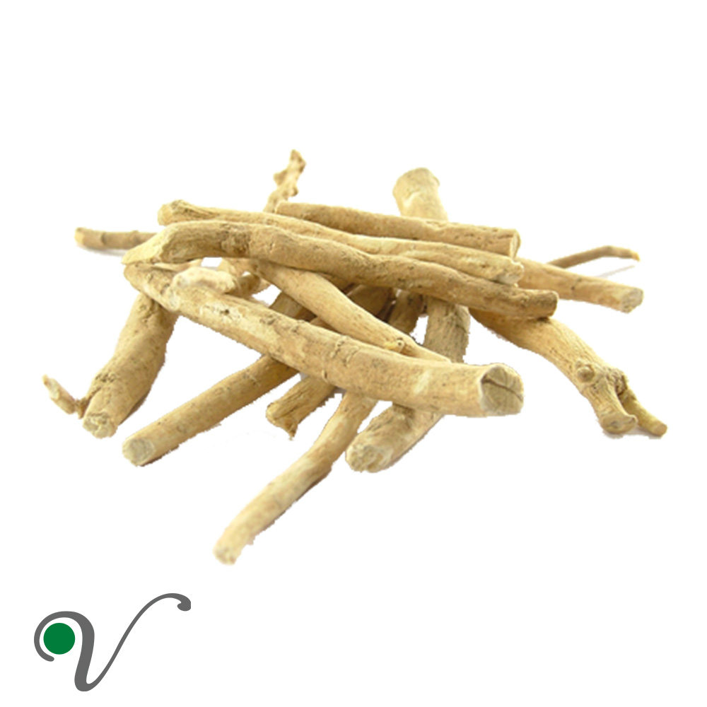 ויתניה משכרת – Withania somnifera