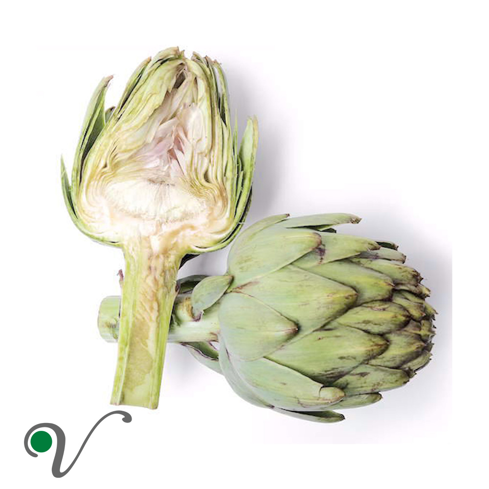עלי ארטישוק – קנרס/ Cynara scolymus (cardunculus)