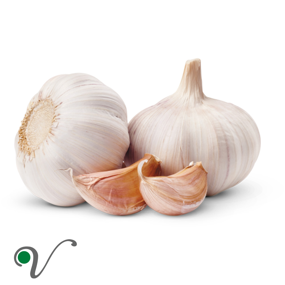 שום – Allium sativum