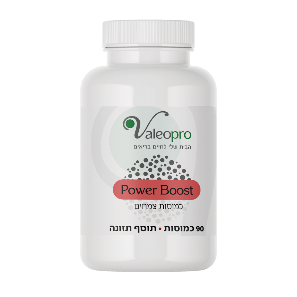 Power Boost – פאוור בוסט 90 כמוסות